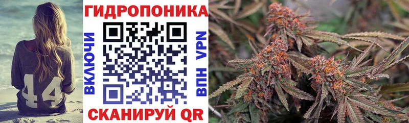 KRAKEN ссылка  Бодайбо  Марихуана семена 